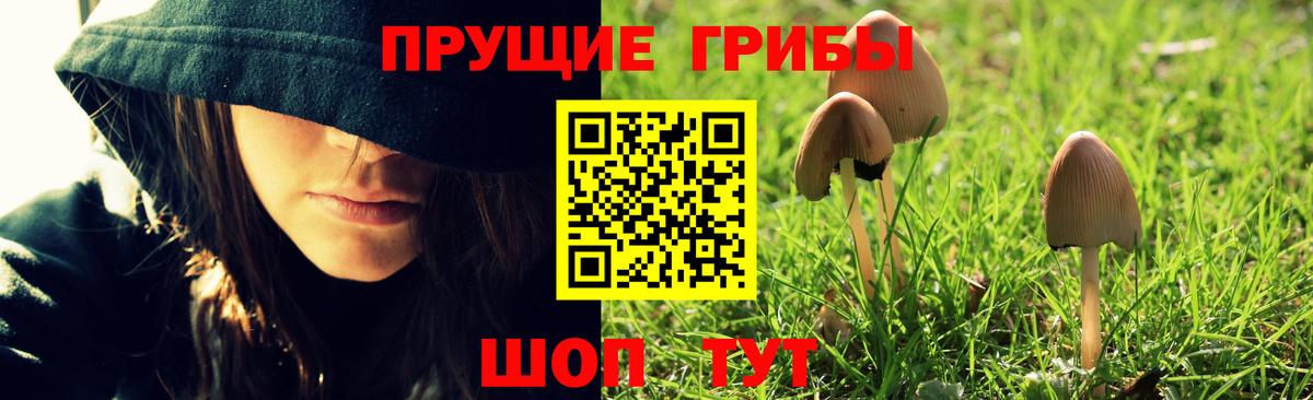 Псилоцибиновые грибы ЛСД Зеленодольск